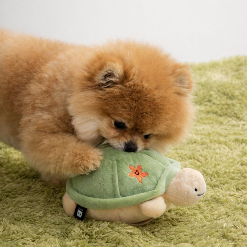 BITE ME | Jumping Turtle Toy | Auto Self-Moving | Rechargable