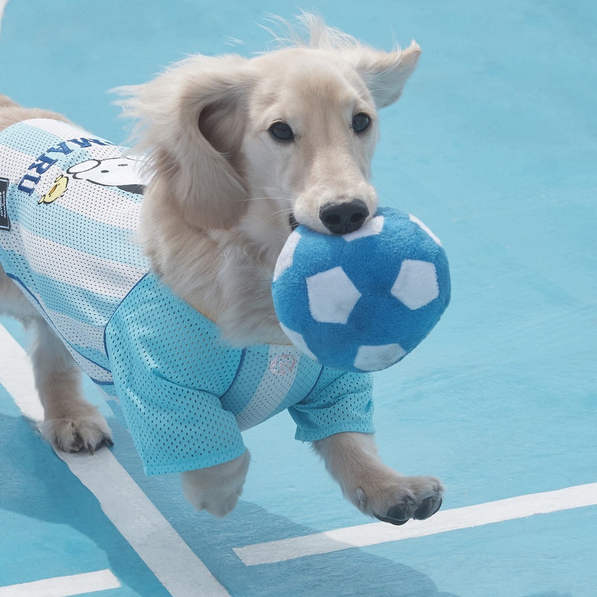 ARUMARU | Pochacco Football Jersey | PC狗x波衫款 | 3色 | 超罕有 | 最大胸圍57cm