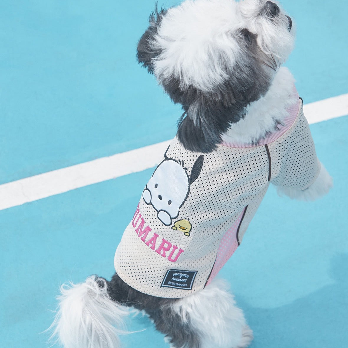 ARUMARU | Pochacco Football Jersey | PC狗x波衫款 | 3色 | 超罕有 | 最大胸圍57cm