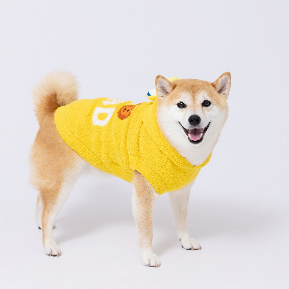 Sesame Street Knit Hoodie | BIG size available!