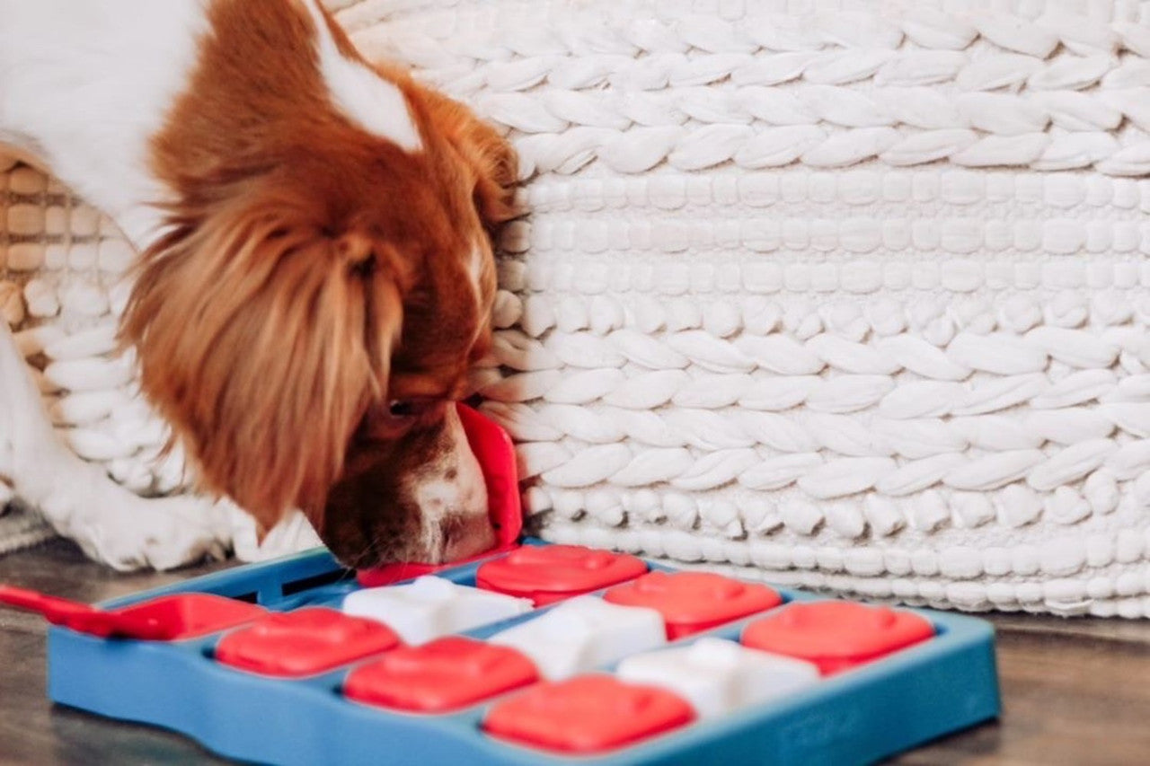 Puzzle Interactive Toy