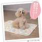 Miffy動物涼感被仔 | 雙面設計＆面料 | 可當涼墊使用