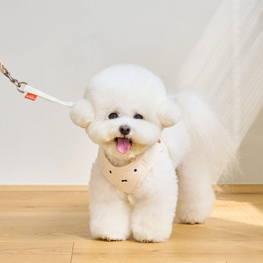 Miffy Face Harness