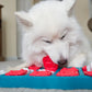 Puzzle Interactive Toy