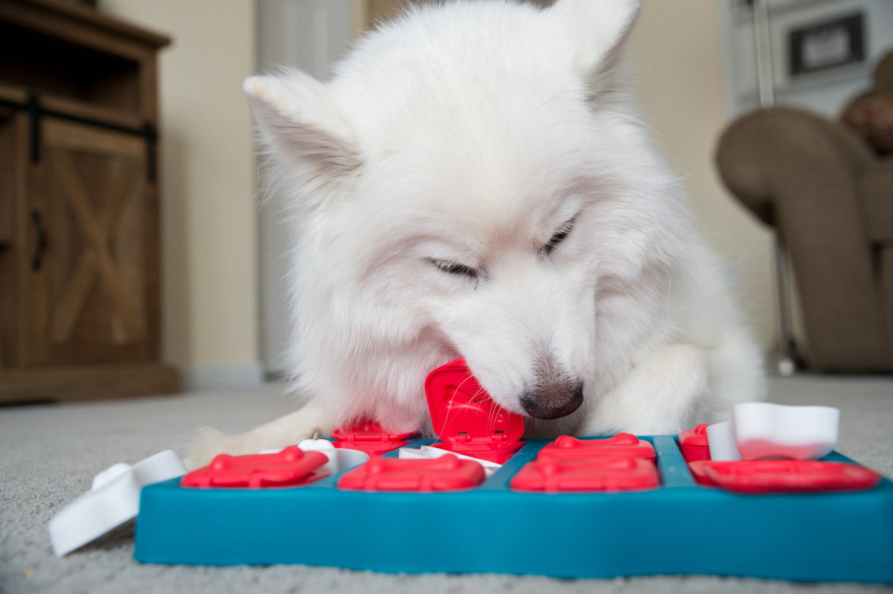 Puzzle Interactive Toy