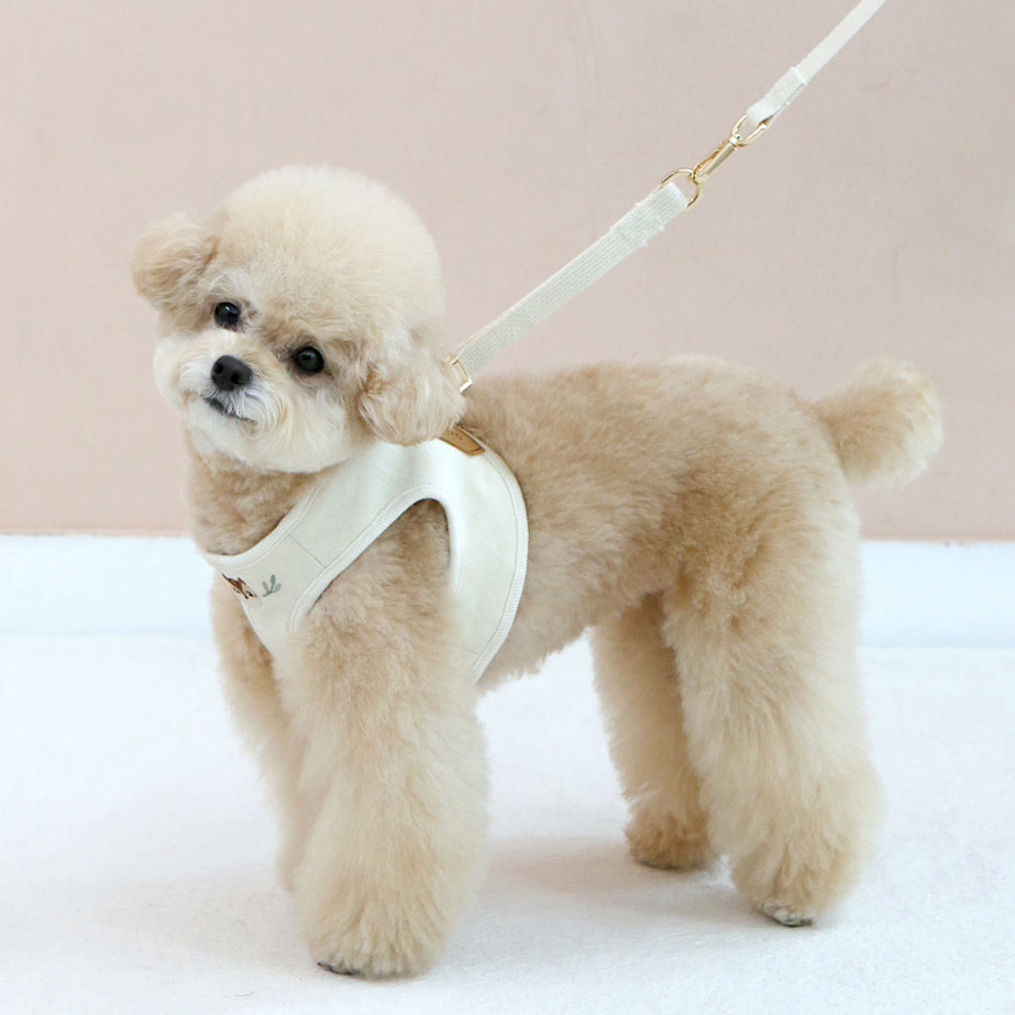 Organic Squirrel Harness