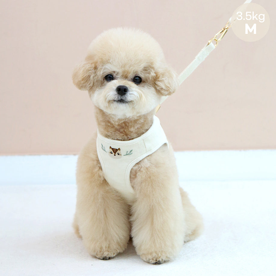 Organic Squirrel Harness