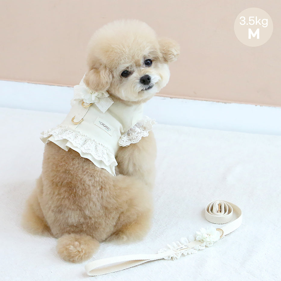 Organic Cotton Flora Harness