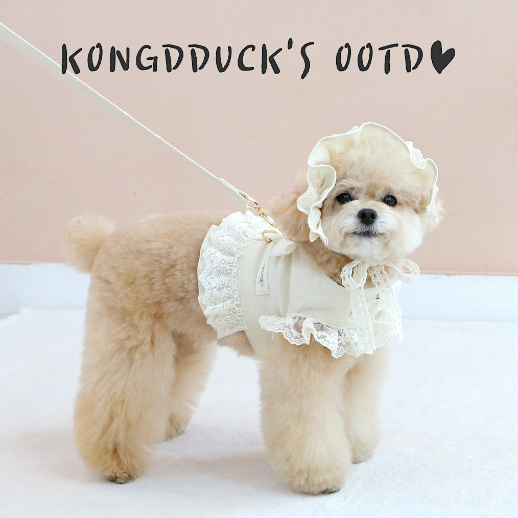 Organic Cotton Flora Harness