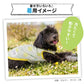 Fruits Cooling Vest