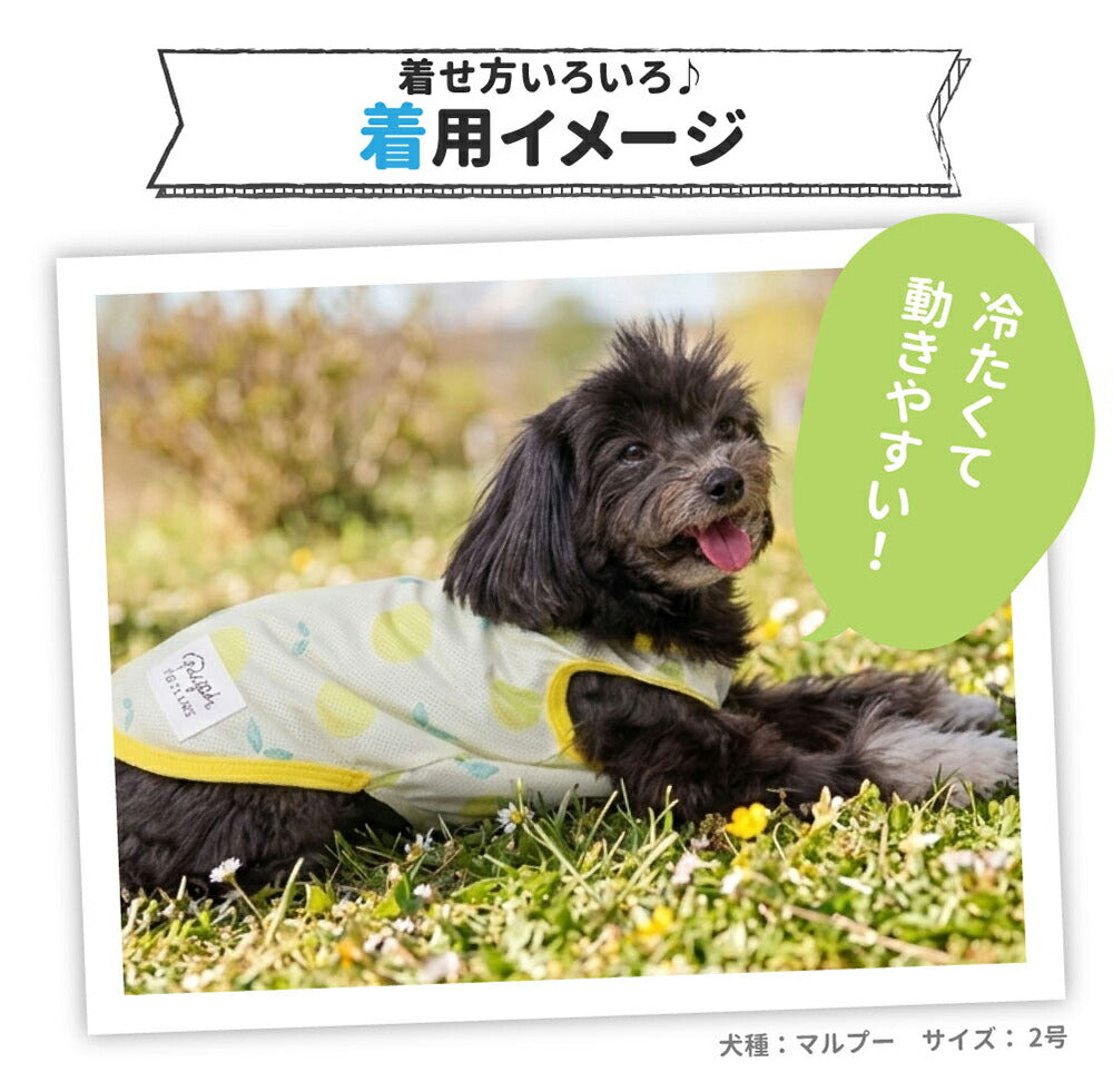 Fruits Cooling Vest