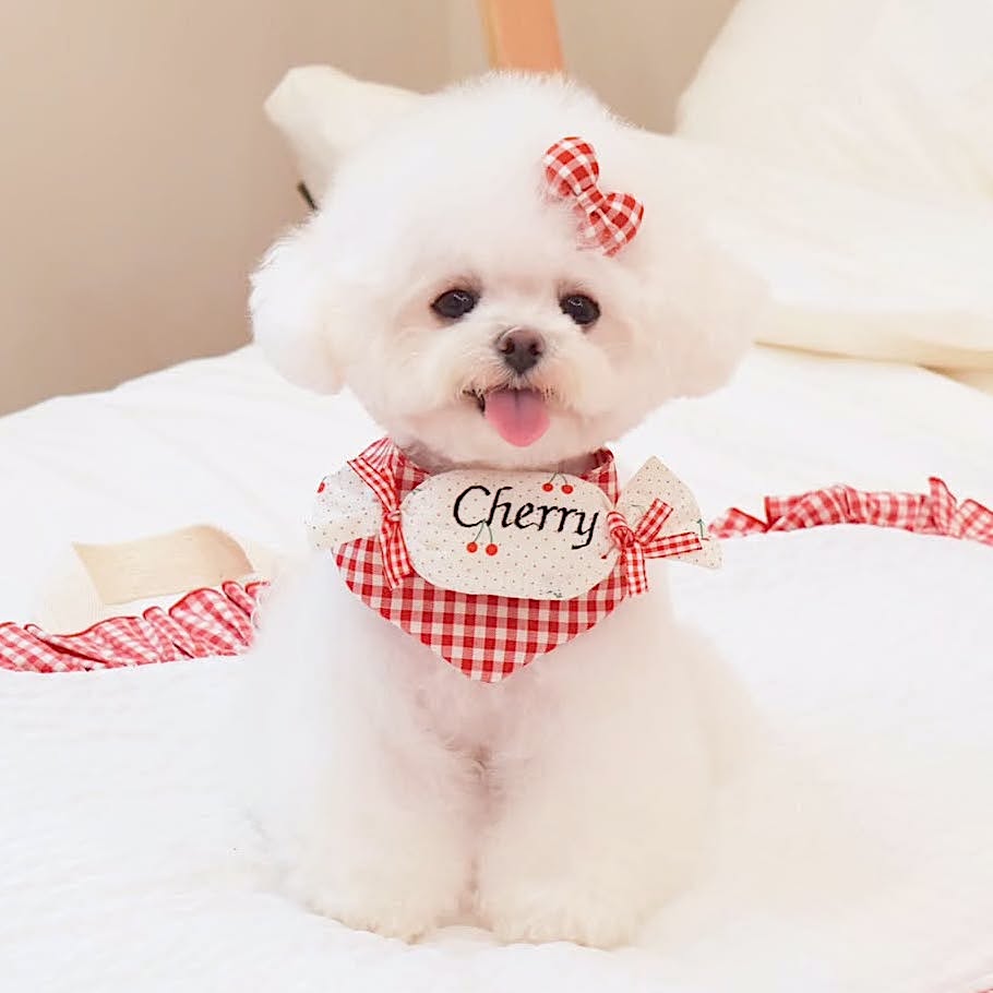 Cherry Candy Cape | Custom Name