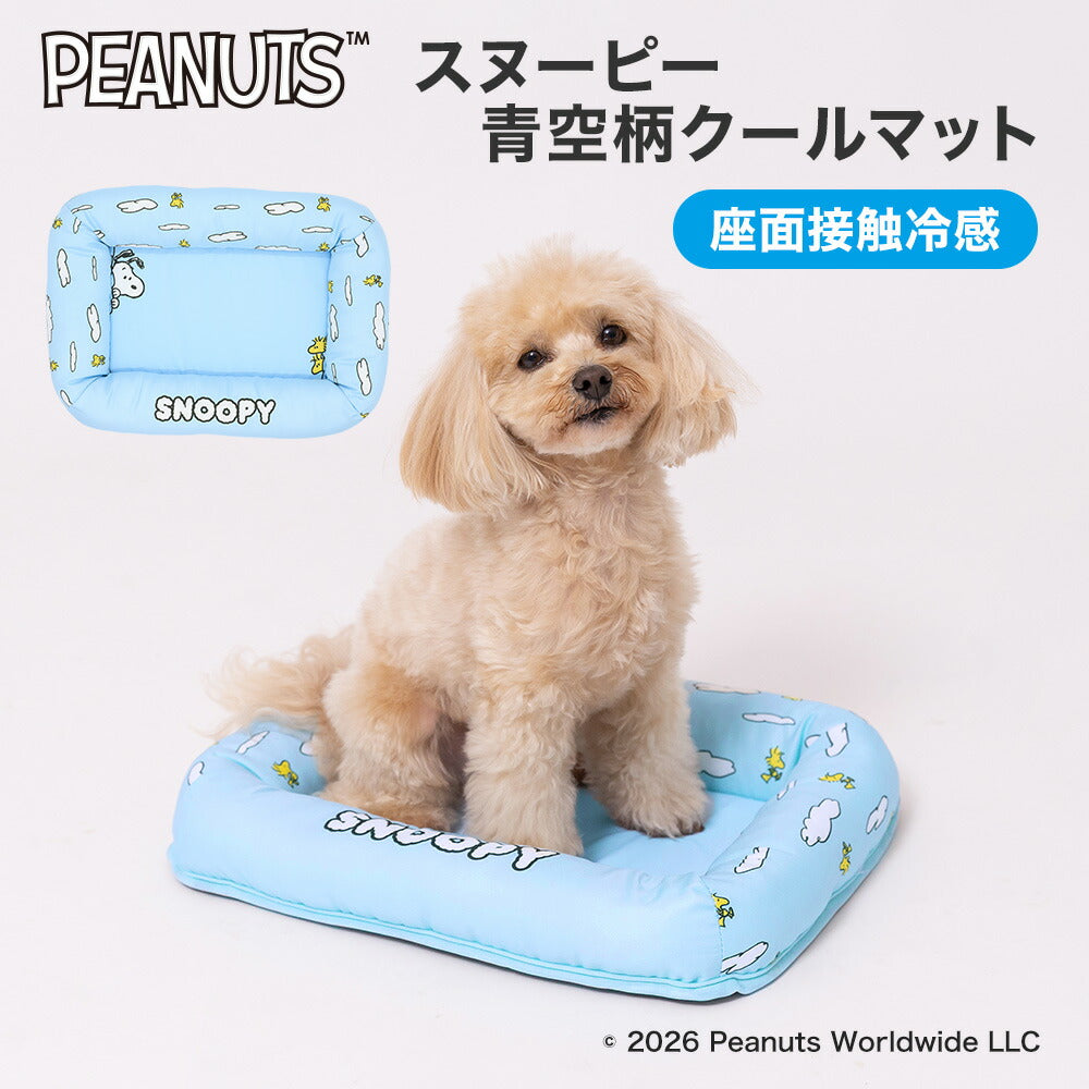 Cooling Mat | Cooling Pillow