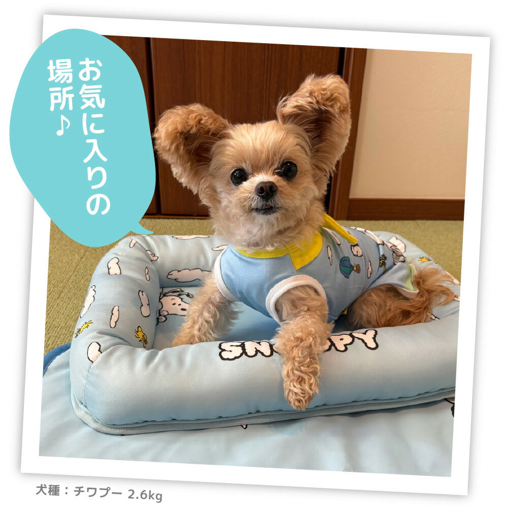 Snoopy Blue Sky Cooling Mat
