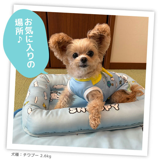 Snoopy Blue Sky Cooling Mat
