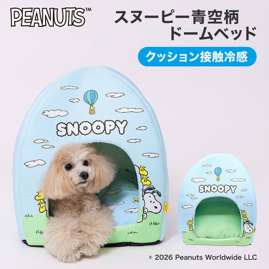 Snoopy Blue Sky Cooling House