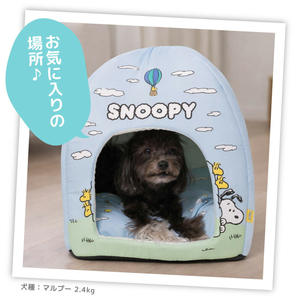 Snoopy Blue Sky Cooling House