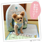 Snoopy Blue Sky Cooling House