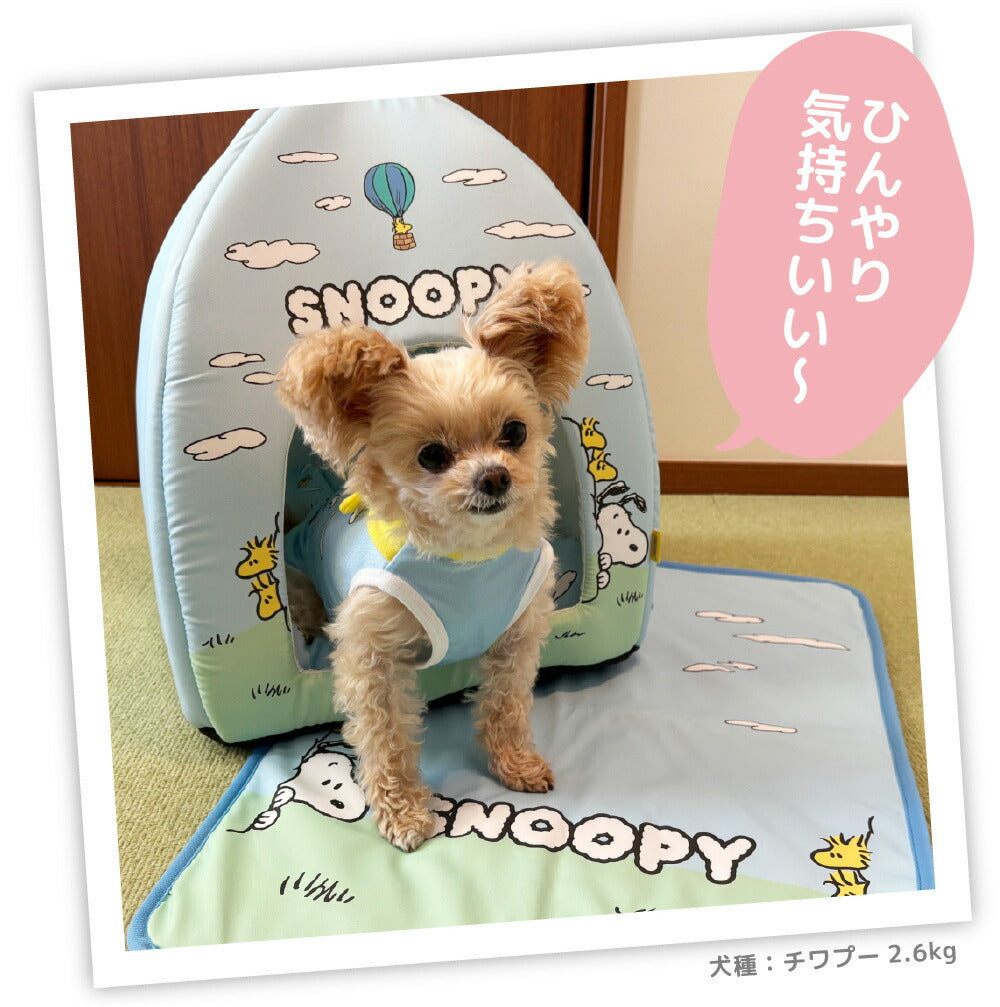 Snoopy Blue Sky Cooling House