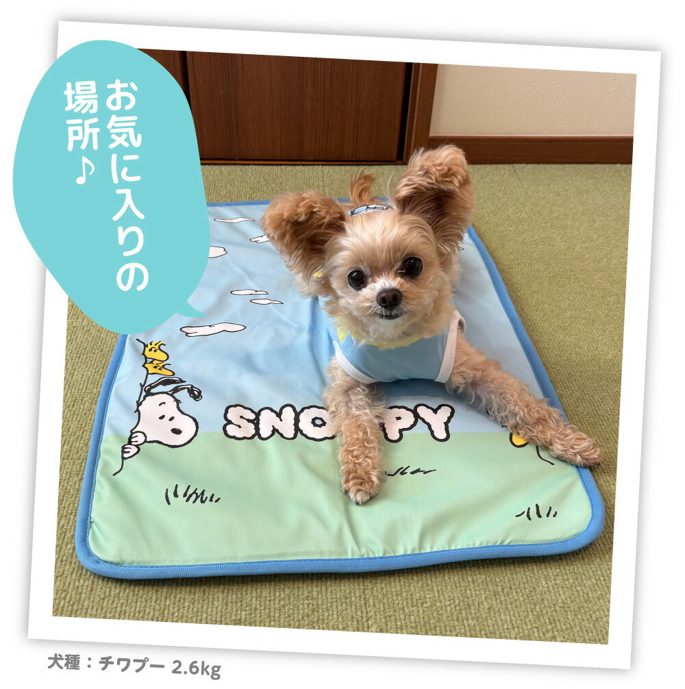 Snoopy天空涼感被仔 | 雙面設計＆面料 | 可當涼墊使用