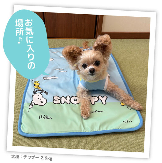Snoopy Blue Sky Reversible Cooling Blanket