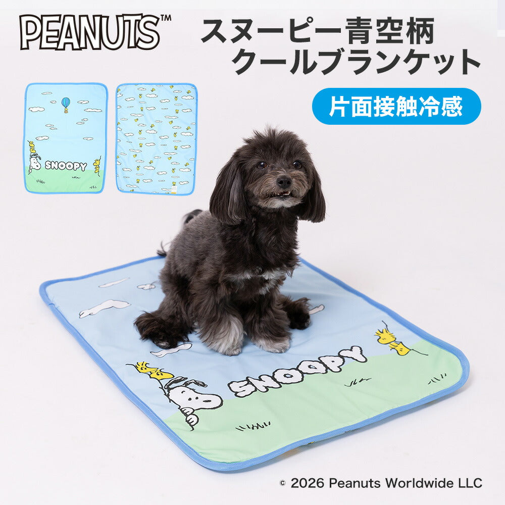 Snoopy天空涼感被仔 | 雙面設計＆面料 | 可當涼墊使用
