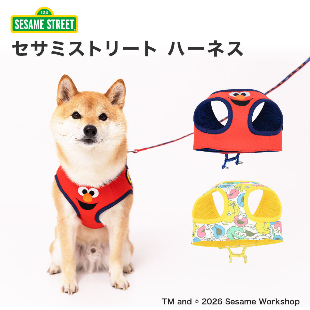 Sesame Street Harness