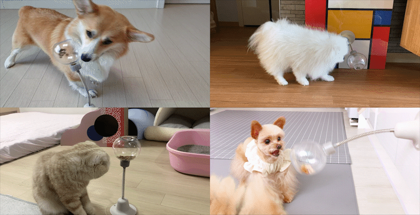 Snack Boxing Toy