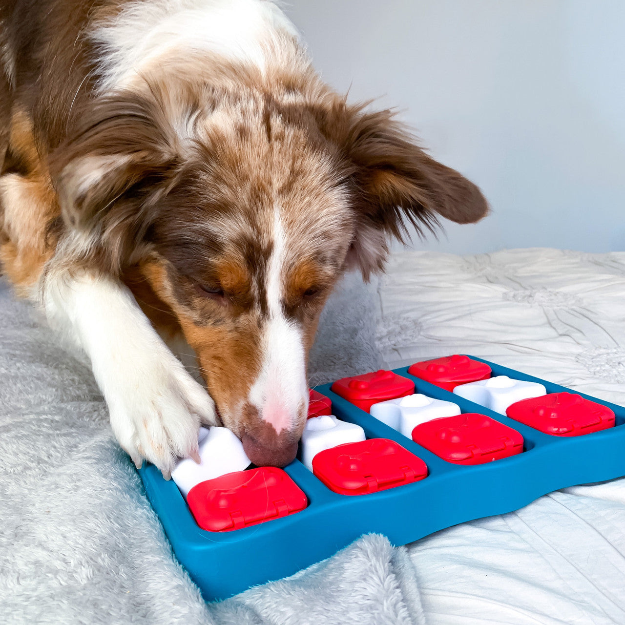 Puzzle Interactive Toy