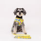 Sesame Street Leash