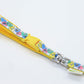 Sesame Street Leash
