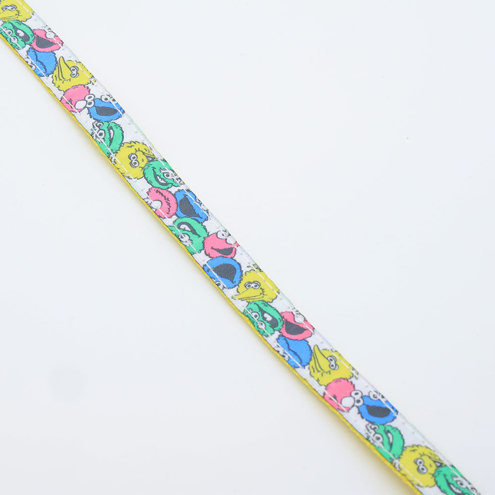 Sesame Street Leash
