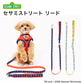 Sesame Street Leash