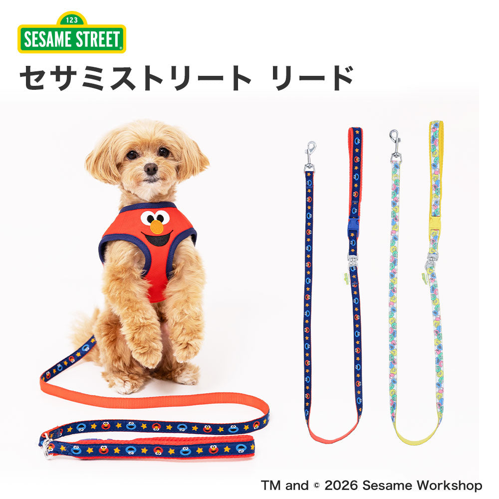Sesame Street Leash