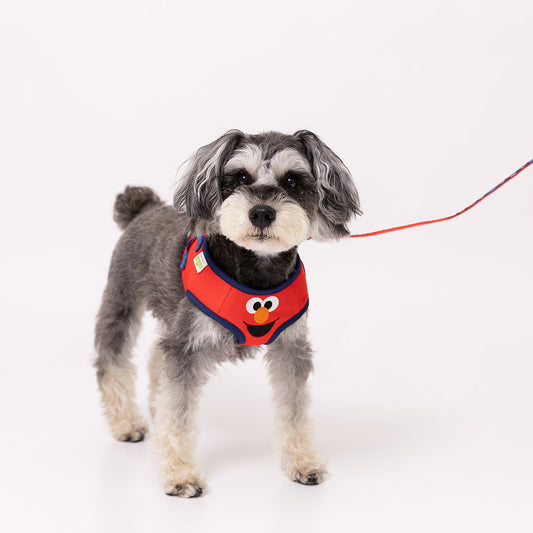 Sesame Street Harness