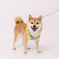 Sesame Street Harness