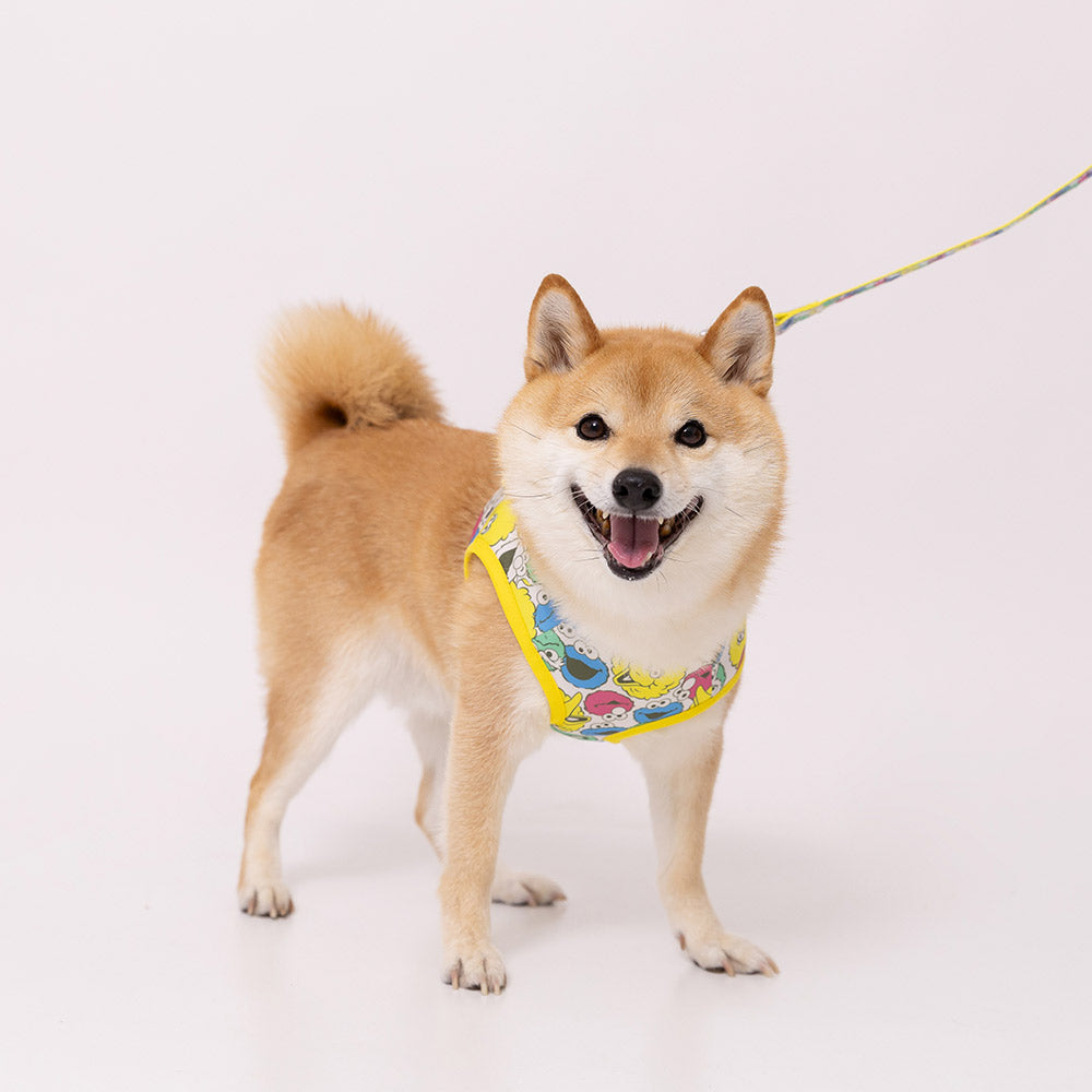 Sesame Street Harness