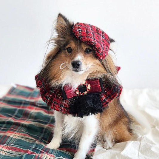 Royal Tweed Cape | Perfect for Xmas!