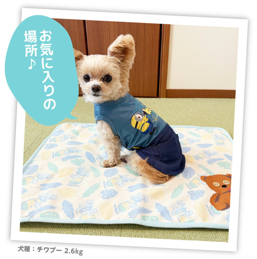 Minions Tim Reversible Cooling Blanket