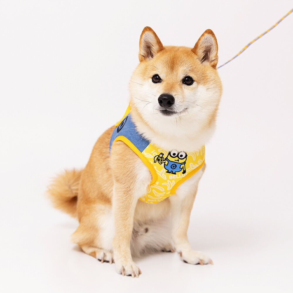 Minions Banana Harness
