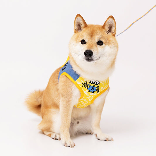 Minions Banana Harness