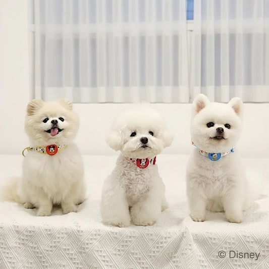 米奇／米妮／唐老鴨頸圈 | 扣位LED閃燈設計