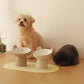 Bear Footed Pet Bowl
