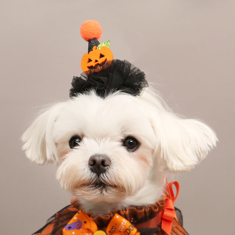 Halloween Hat Hairpin