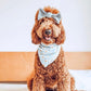 Blue Daisy Bandana