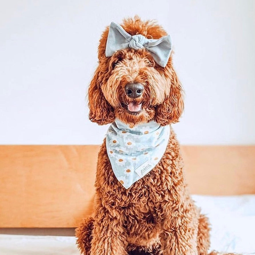 Blue Daisy Bandana