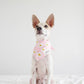 Pink Daisy Bandana