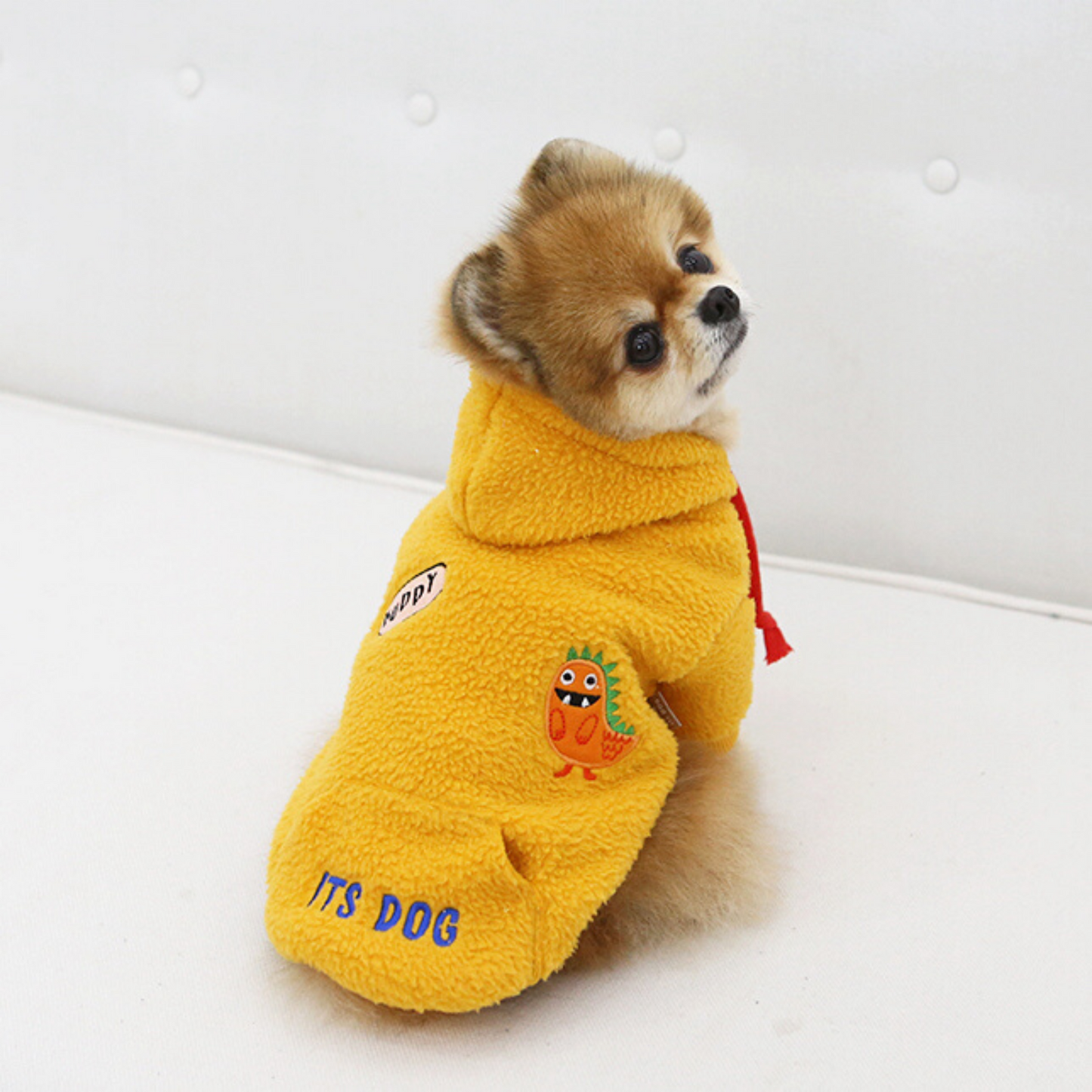 Buddy Hoodie