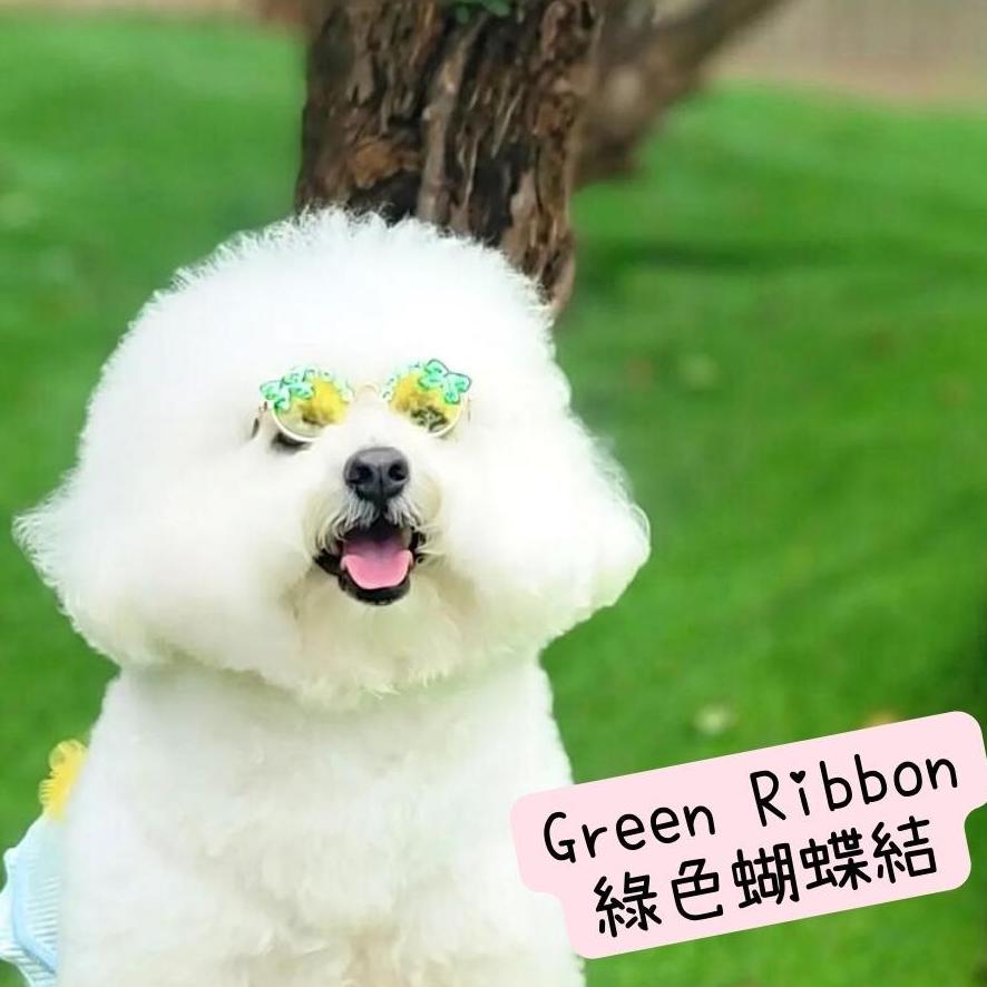 Korean Handmade Sunglasses (14 styles!)