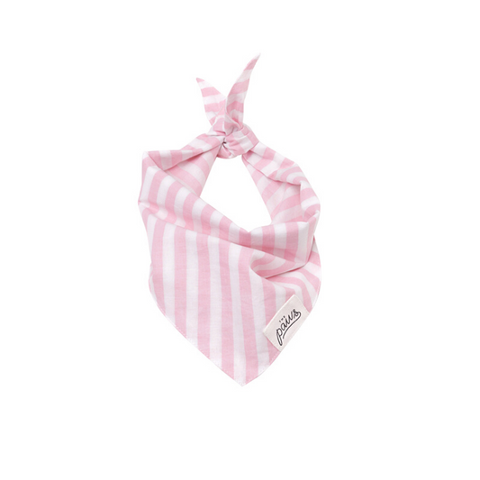 Cabana Blush Bandana